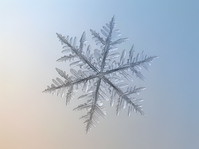 gros plan sur un flocon de neige illustrant les activités nature hiver