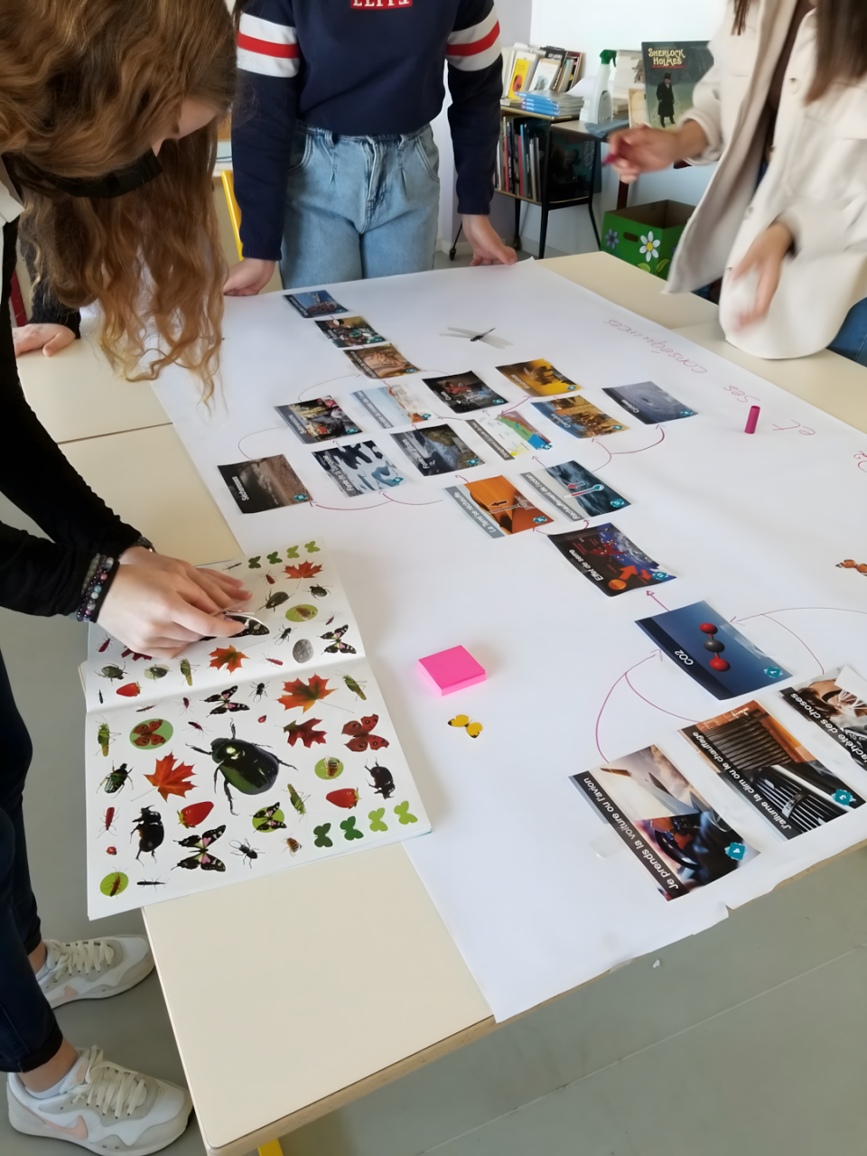 Atelier La Fresque du Climat : groupe connectant les cartes pour comprendre les liens de cause à effet du changement climatique.
