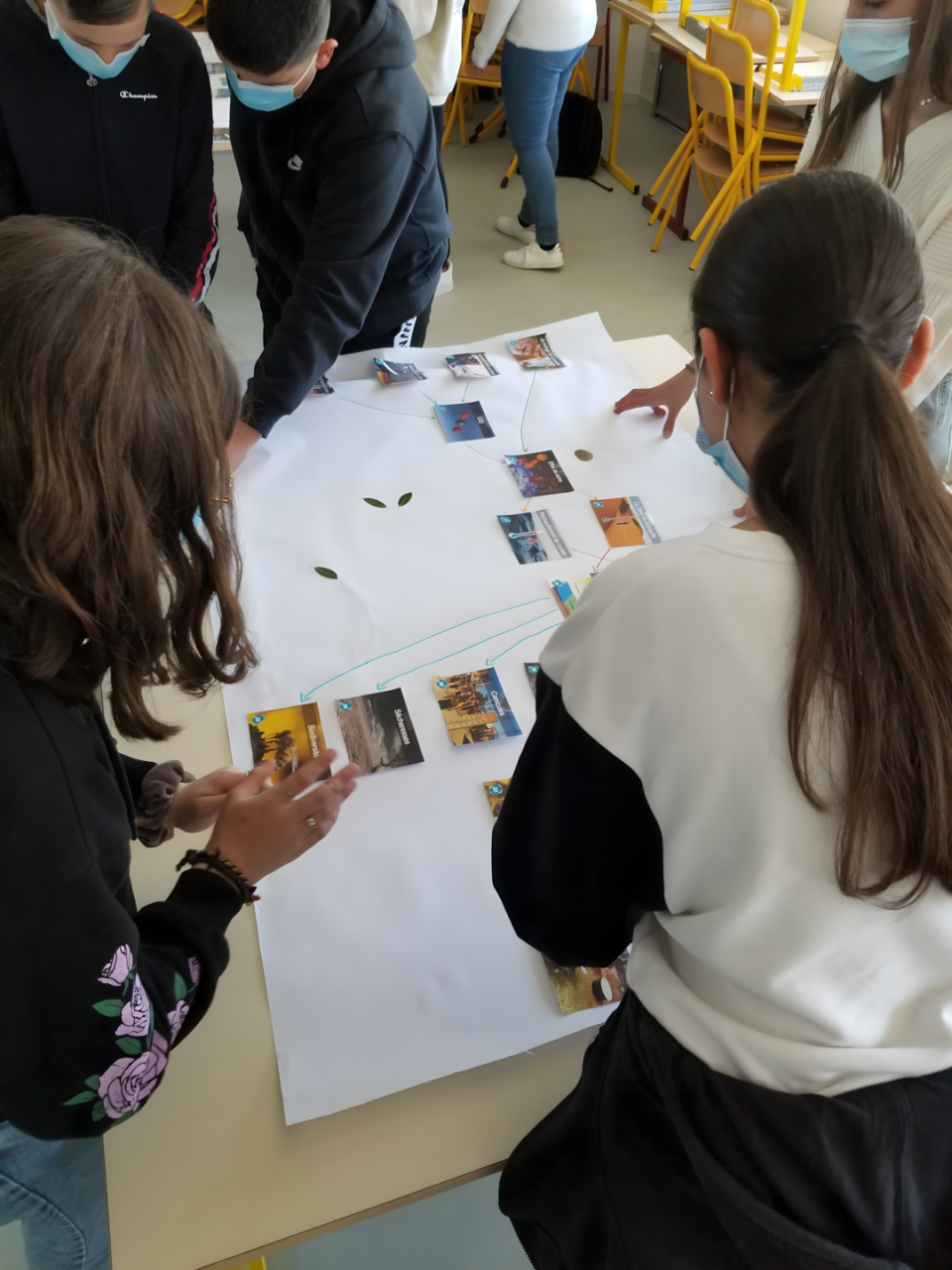 Adolescents travaillant sur une cartographie des interactions écologiques, illustration d'un atelier SVT pour le Collège.