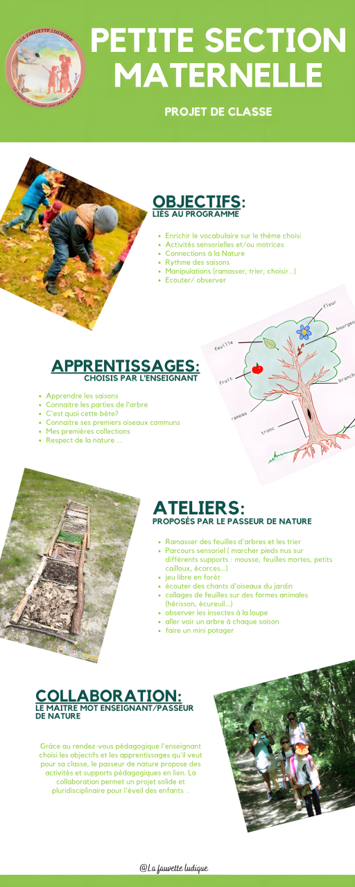 Infographie de présentation du projet pédagogique Maternelle Petite Section : objectifs et ateliers nature.