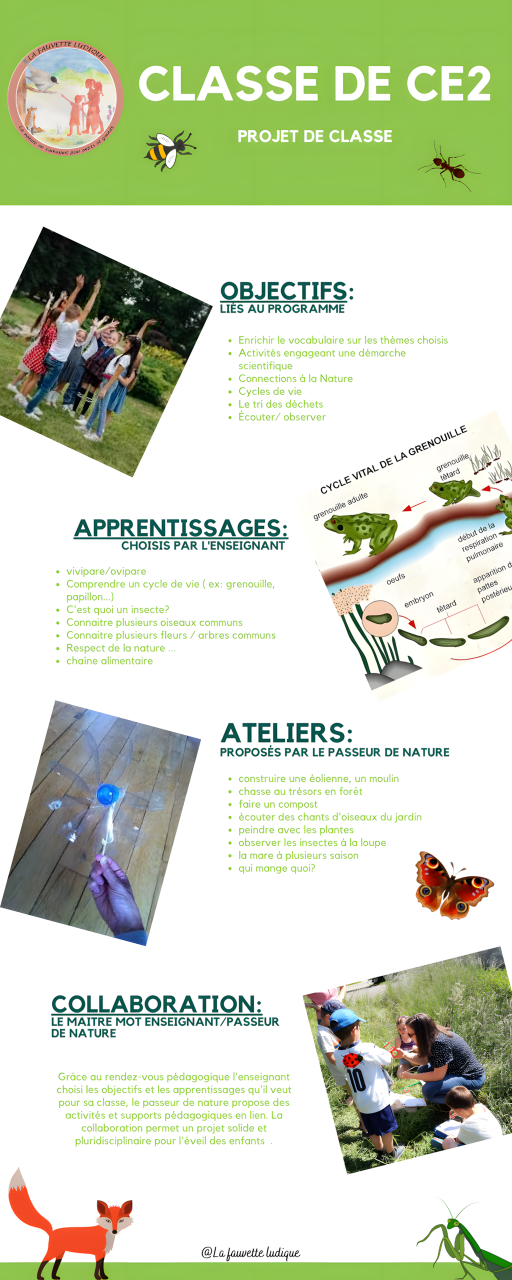 Infographie du projet pédagogique Classe de CE2 : étude du cycle de vie de la grenouille et ateliers biodiversité.