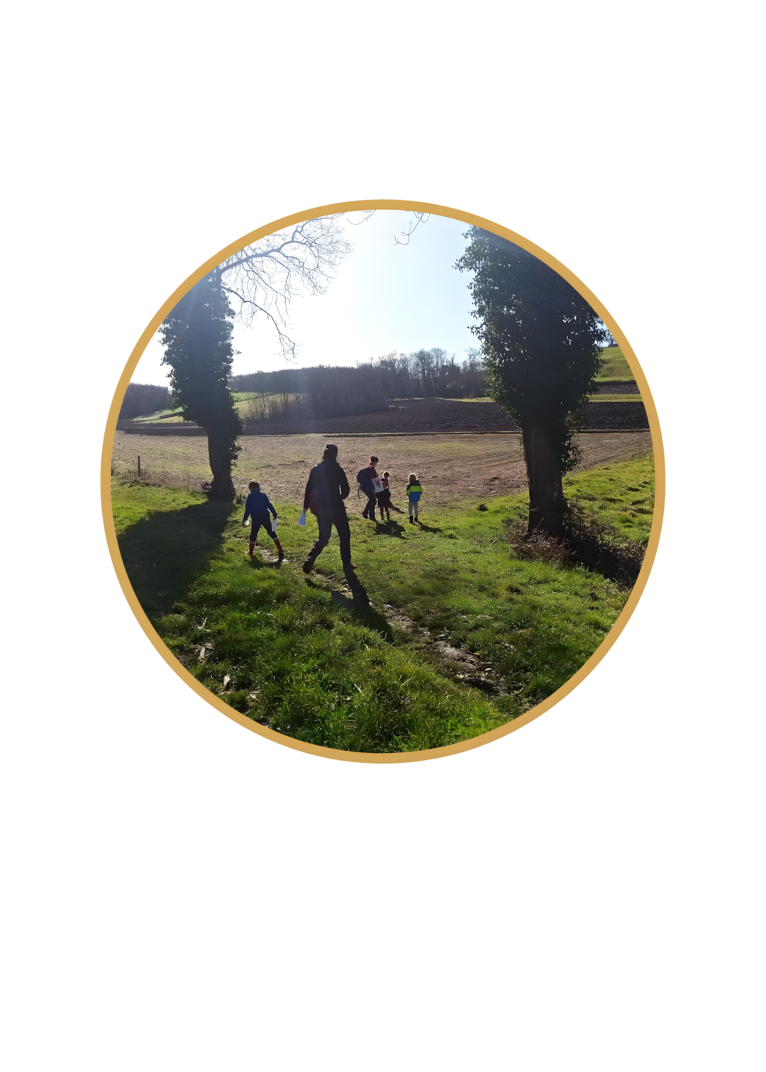 Atelier collaboratif entre adultes, image de couverture pour la catégorie Idées de sorties et activités nature.